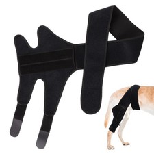 Dog Knee Brace For ACL Hip Support Adjustable Rear Leg Brace For Recovery