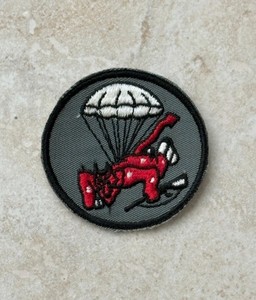 Vintage 508th Parachute Infantry Regiment Red Devils Patch
