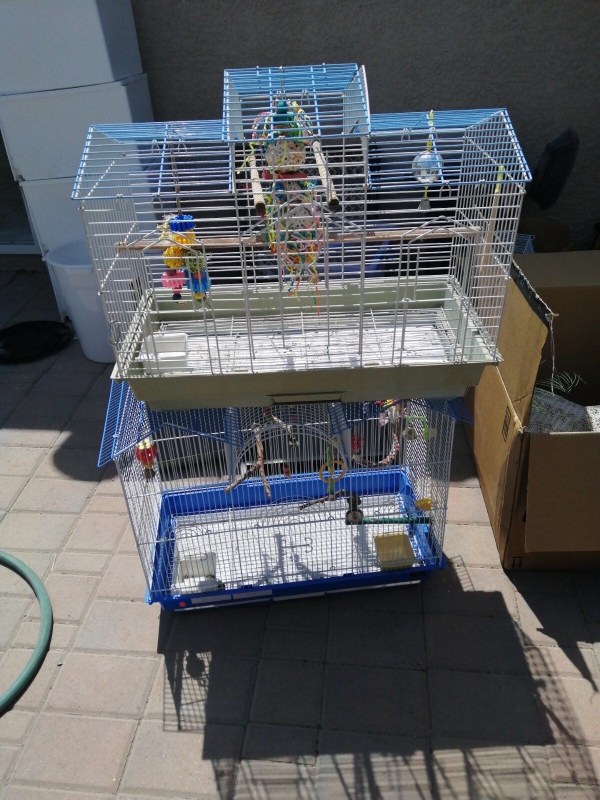 used bird cages for sale eBay