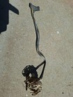 <!--F#f_0-->Hk Ht Hg Holden Steering Column Indicator Mechanism Loom<!--F/-->