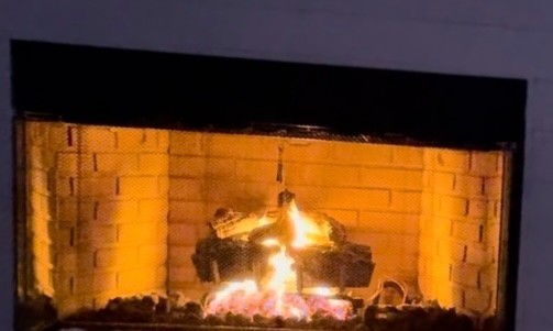Peterson Real Fyre 19-inch Rustic Oak Log Set With Vented Natural Gas G45 Bur...