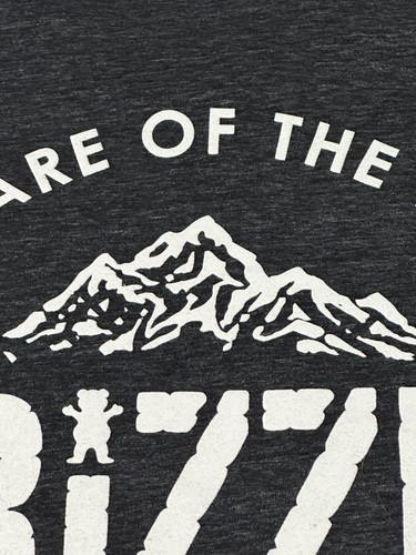 Camiseta gris manga corta GRIZZLY Grip Tape para hombre talla M - MEDIANA - Imagen 8 de 24