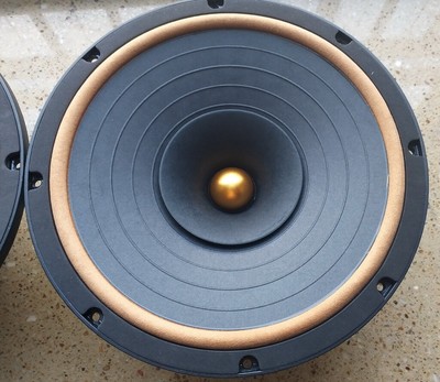 speaker full range 10 inch