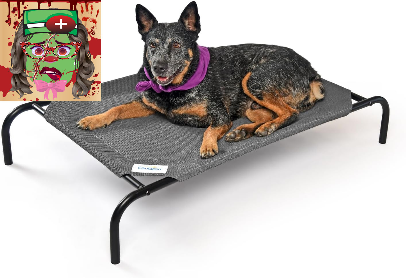 Coolaroo Medium Elevated Dog Bed - Gunmetal Cooling for Indoor/Outdoor Use