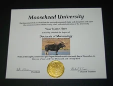 DR of MOOSE Customizable Diploma For You