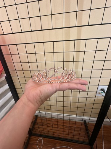 Rose Gold 25th Birthday Rhinestone Tiara Crown with Combs