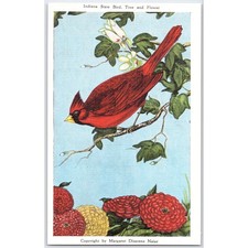Postcard Indiana State Bird Tree Flower Cardinal Tulip Zinnia