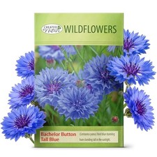 , Bachelor Button Seeds Tall Blue, Cornflower Seeds, Non-GMO and Pollinator