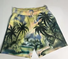 Authentic Palm Angels Men’s Size Medium Paradise Bermuda Mesh Gym Shorts / Swim