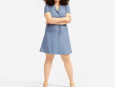 Everlane The Japanese GoWeave Notch Shirt Dress Size 00