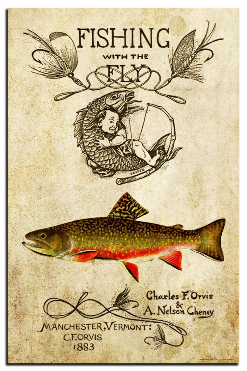 Vintage Fly Fishing Lures Art Print 11x17 Brook Trout Fish Cabin