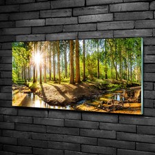 Wandbild aus Plexiglas® Druck auf Acryl 100x50 Landschaften Wald Panorama