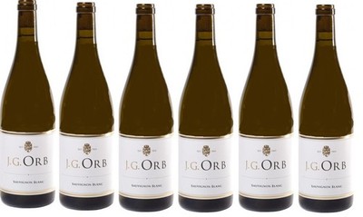 6 Flaschen Sauvignon Blanc 2019 J.G. Orb a 750ml weiß 12,5% Vol.