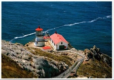 Point Reyes Lighthouse National Seashore California Continental Postcard c1984