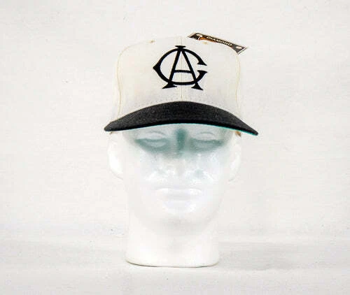 Chicago american cheap giants hat