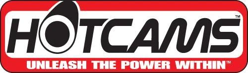 Juego de (3) cadenas de cadena de levas Kawasaki KFX700 Hot Cams Heavy Duty Foto 3 de 3