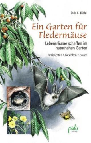 Thumbnail - Ein Garten Für Fledermäuse Lebensräume Schaffen Naturnahen Garten -