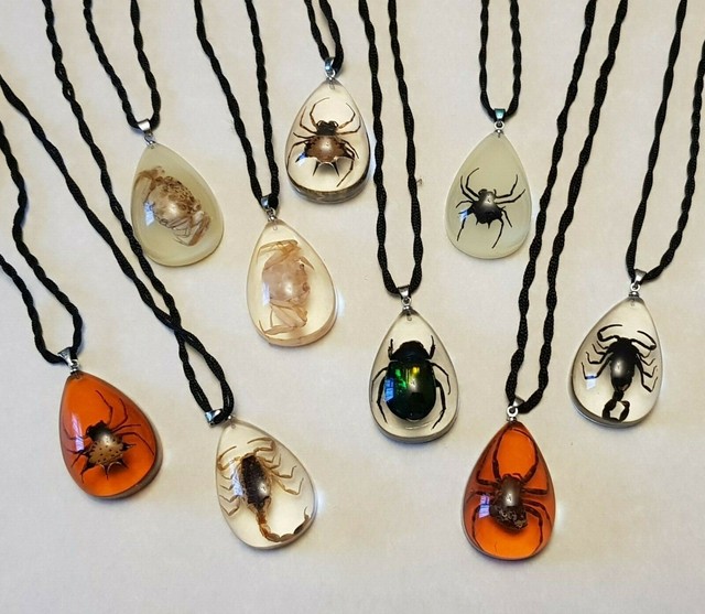 12 PCS NEW GLOD BLACK SCORPION GLOW DROP LUCITE PENDANT TAXIDERMY GIFT NG