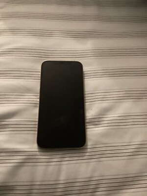 iPhone 12 Pro Max With TikTok 