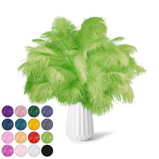 30pcs Fruit Green Ostrich Feathers Natural Bulk 9-12inch 23-30cm Vase Craft ...