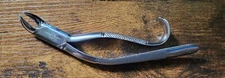 Extracting Forceps #82 Stainless Steel 