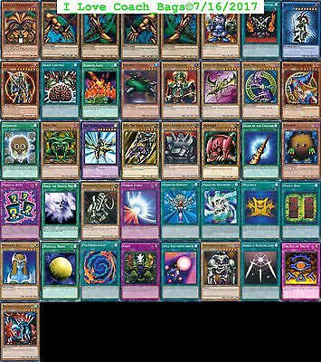 Deck lexodia