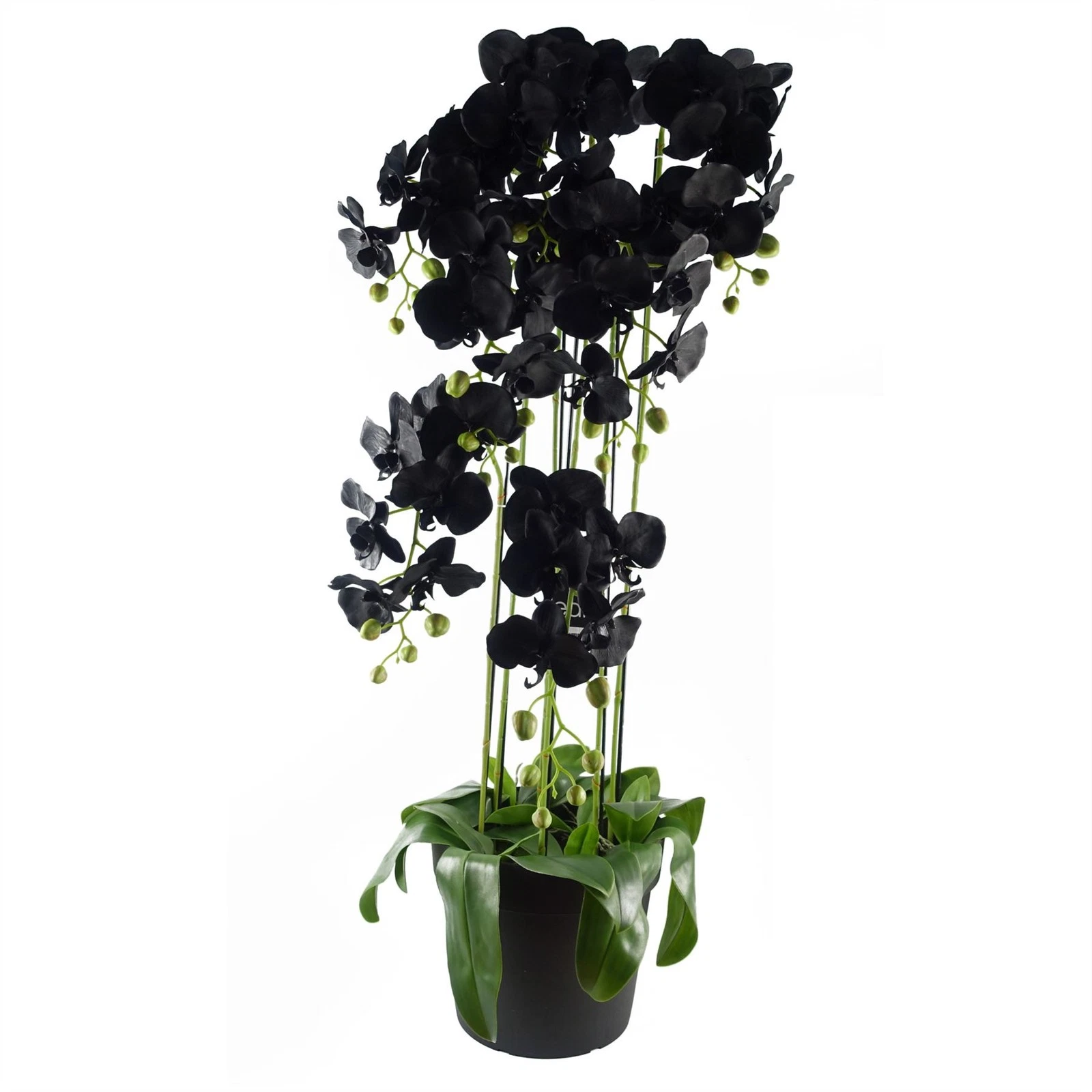 Artificial Orchid Black 110cm Large Real Touch 41 Blooms Wired Stems Home Decor