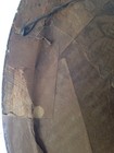 Foto 8 di 9