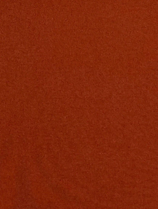 LuLaRoe 紧身裤 TC2 高曲线 2 实心秋季 PUMPKIN 橙色兵马俑 — 第 2/4 张图片