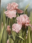 Original oil painting signed flowers — photo 3