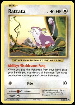 EVO: Rattata 66/108 Common XY - Evolutions