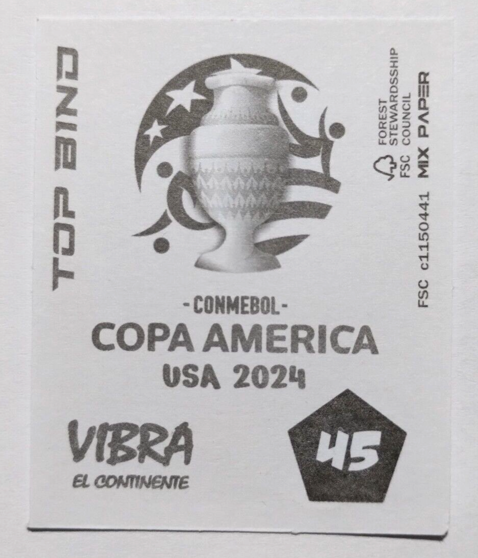 Patch à Repasser Copa América 2024 USA – Insigne Conmebol Dimayor – Équipes Argentine Brésil USA