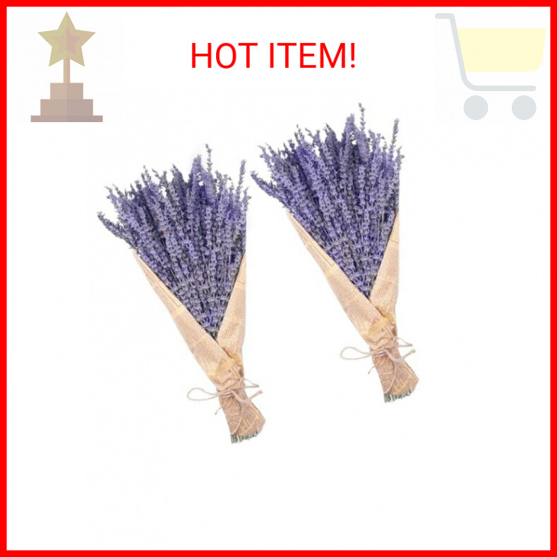 Dried Lavender Bundles, Uieke Natural Dried Lavender Flowers 280-300 Stems 16“ f