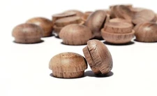 Walnut 1/2" Wooden Mushroom Plugs or Screw Hole Covers, Dome Shape, Wooden Plugs