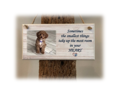personalised dog things