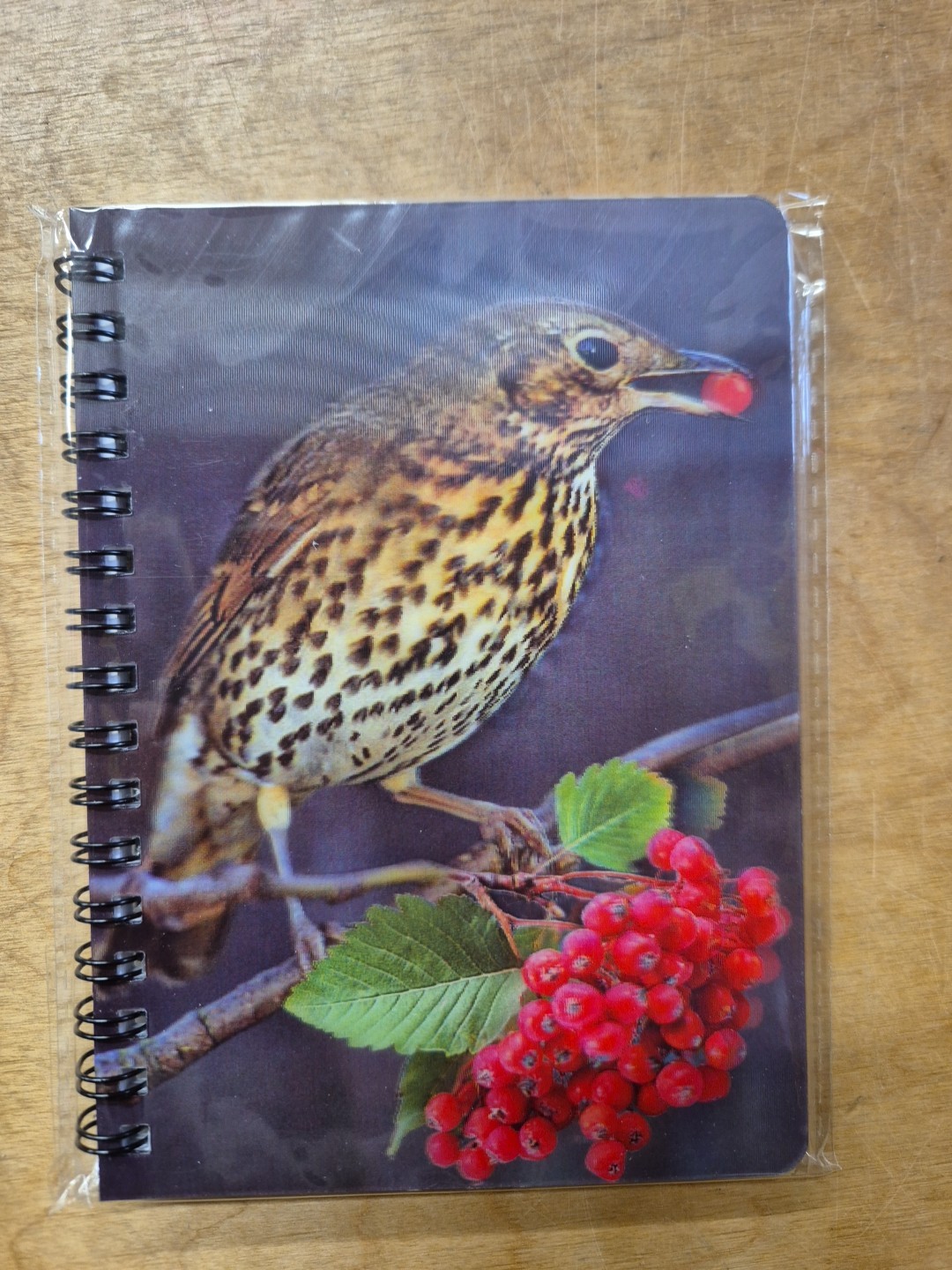 Song Thrush notebook Song Thrushes Bird Notebooks A6 lined Notepad Garden birds