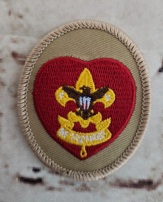 BSA Boy Scouts Life Rank Oval Patch
