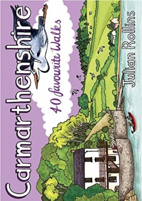 Carmarthenshire 9781907025808 Julian Rollins - Free Tracked Delivery