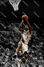 GD903 Dale Davis Indiana Pacers 8x10 11x14 16x20 Photo
