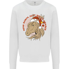 Equestrian Dear Santa Funny Horse Christmas Kids Sweatshirt Jumper