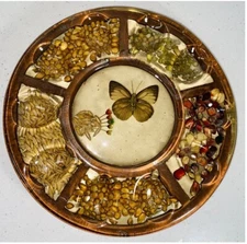 Vintage 10” Lucite Butterfly & Seeds Deviled Egg Plate 1970's FR7C