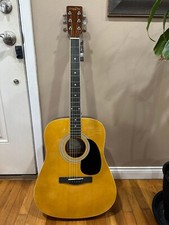 Zager Easy Play Custom Acoustic Guitar, Model Zad01pkn - Brand New!