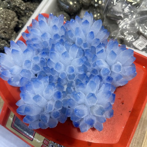Nuevo Encontrar Azul Fantasma Cuarzo Cristal Racimo Mineral Espécimen Decoración Curativa - Imagen 14 de 15