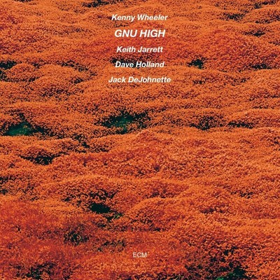Kenny Wheeler Gnu High (Vinyl) 12'' Album (US IMPORT)
