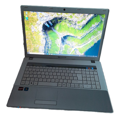 packard bell 17,3'' Laptop EasyNote MS2291 LM94(500GB HDD-6GB RAM)