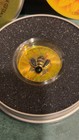 2025 MAPLE LEAF HONEY BEE SILVER COIN WITH BEJEWELED INSERT (ONLY 100 MADE !) — photo 2