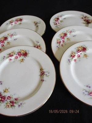Vintage Queen Anne Porzellan 6,5 Zoll Beilagenteller x 6 hübsche bunte Rose Floral