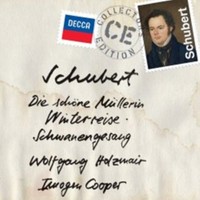 Wolfgang Holzmair Im - SCHUBERT-SONG Cycles - Cd - G3Z