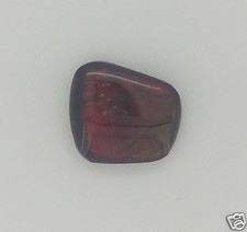 AMMOLITE 3,06 Ct. MULTICOLOR 11,0 X 10,0 MM 