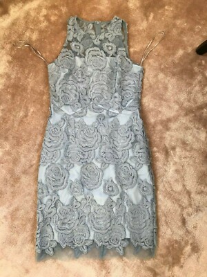 NWT REISS Size 8 Meghan Floral Lace Bodycon Semi-sheer Dress in Silver Lake  $475 | eBay